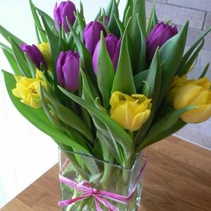 Meet your Posher, Roxanna